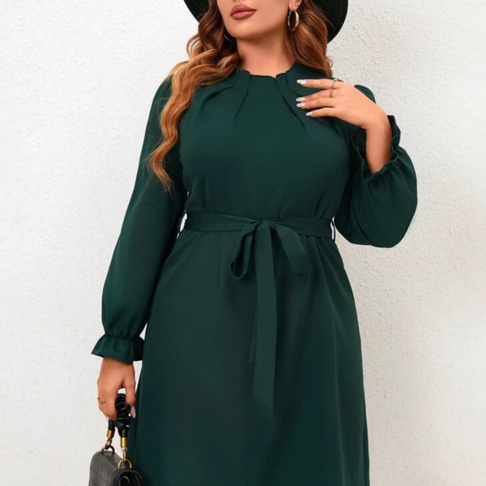Frill Trim Flounce Sleeve Belted Dress